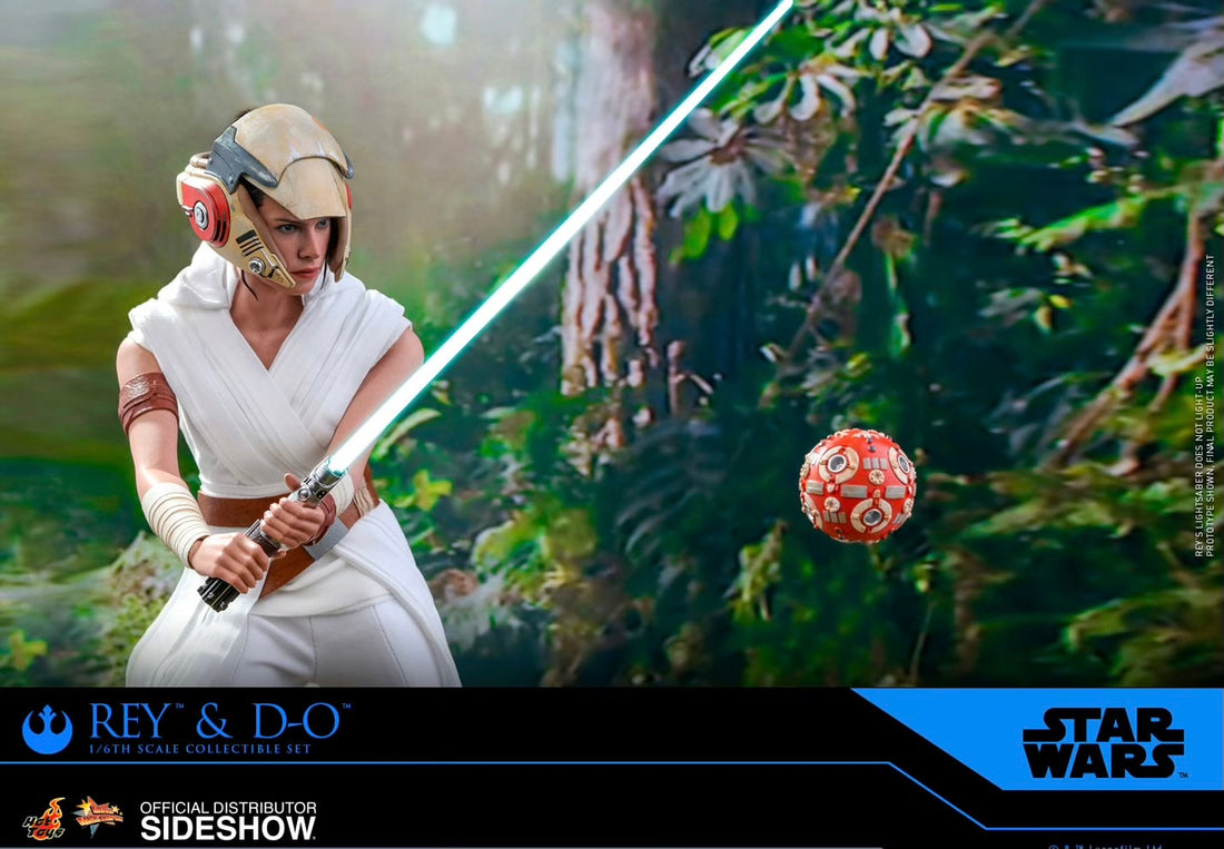 ! Rey & D-O (Displayed)