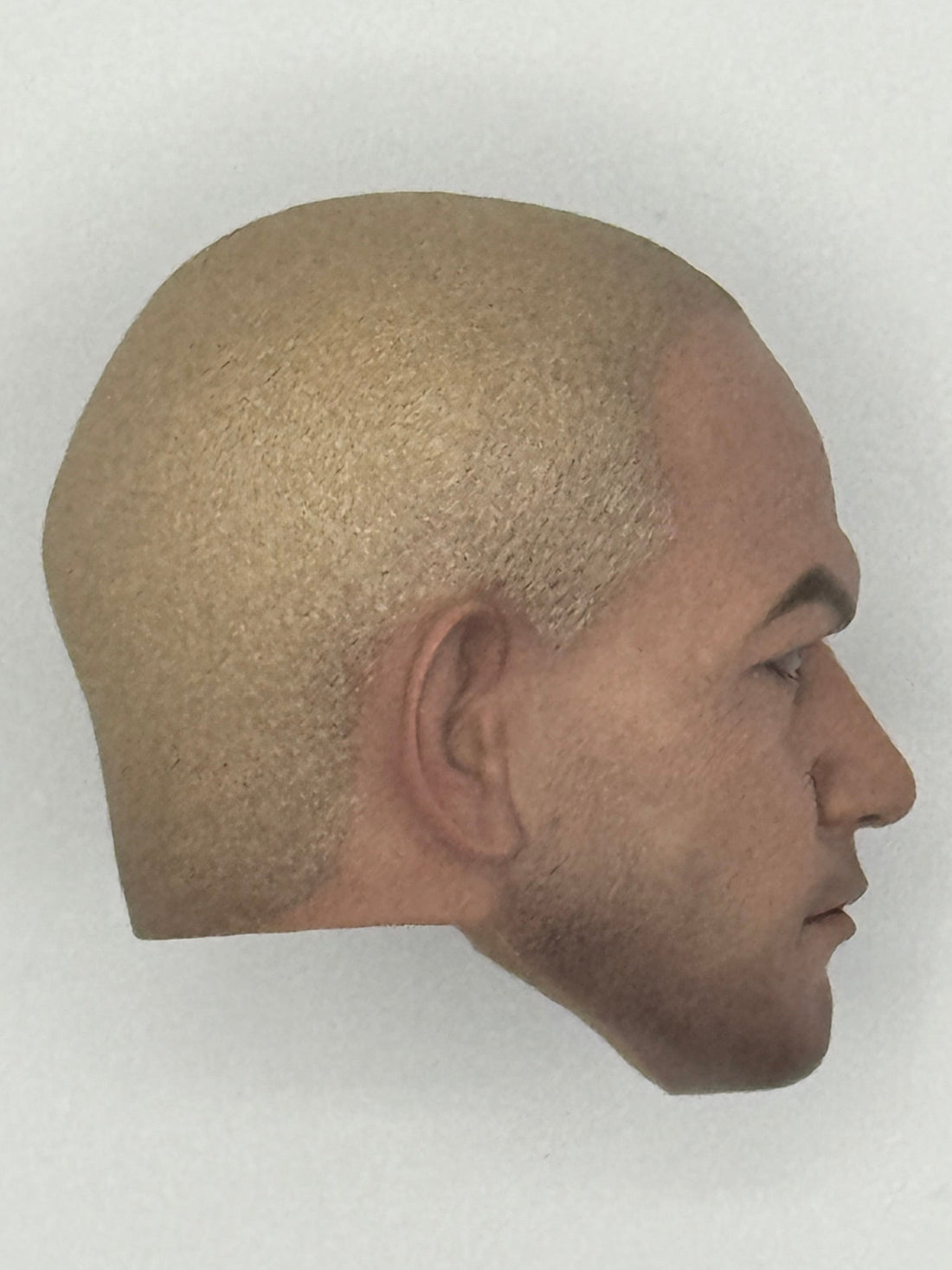 TMS018 Headsculpt