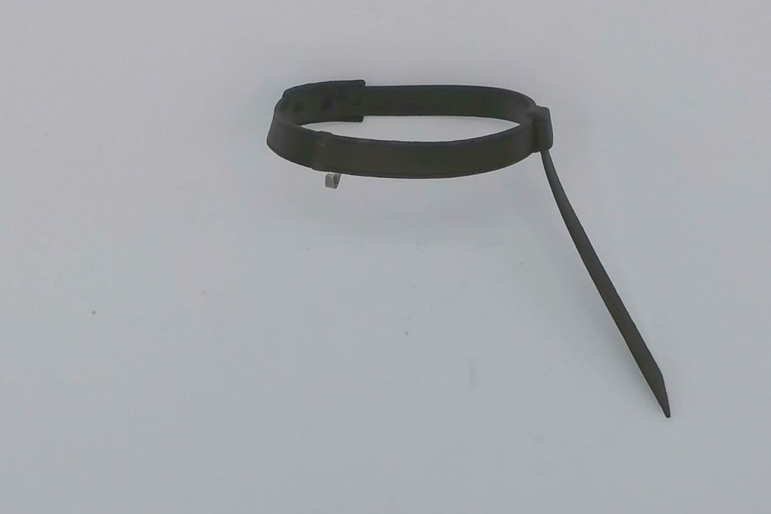TMS125 Bottom Belt